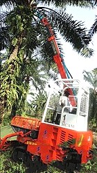 山河智能棕榈油果采摘机世界独创获认可