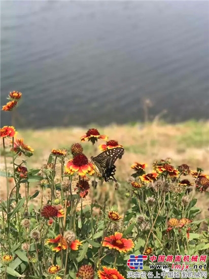 有freestyle, 我们还友爱环境!——卡特彼勒乐水行