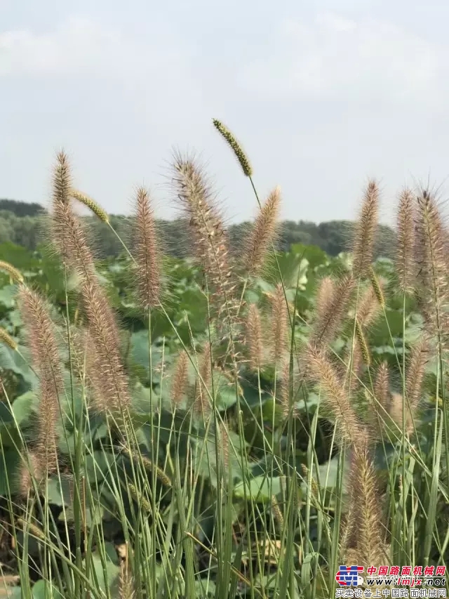 有freestyle, 我们还友爱环境!——卡特彼勒乐水行