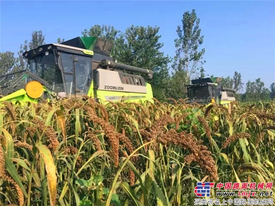 一路北上!中联重科纵轴流收割机跨区秋收显身手