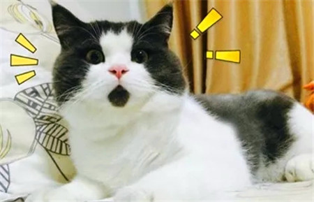 @我,粉我…让我带着模型来见你!