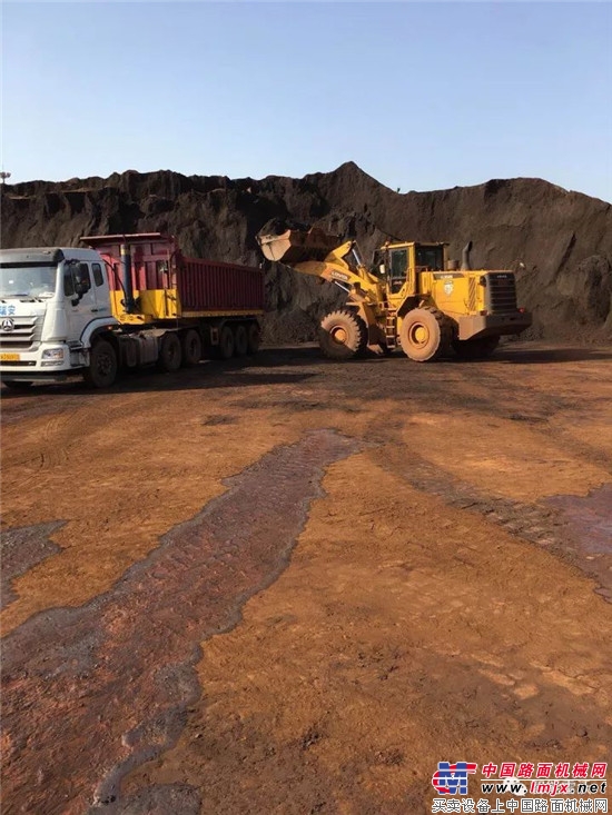 路遥知马力,雷沃装载机为张总创富保驾护航