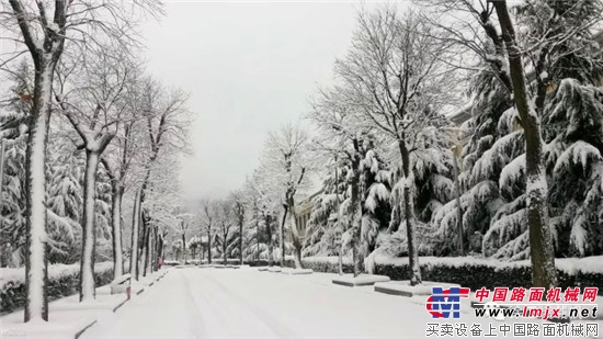 徐工金,冬日里的一米阳光