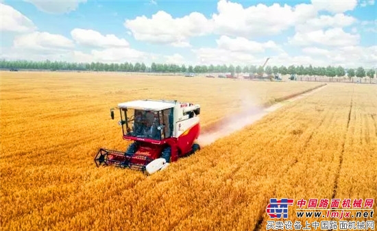 雷沃重工:当好试验田领头雁,创造动能转换的山东经验