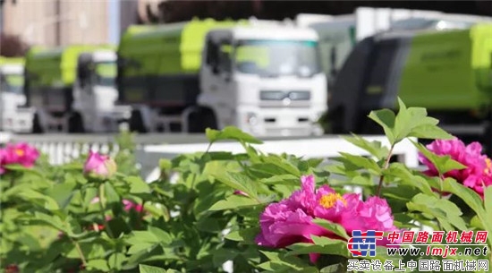 凌宇四月最热闹,奇花明星共闪耀