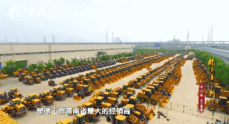 天冷了！就让这一抹“徐州黄”，告诉你渡过寒冬最重要的是什么…