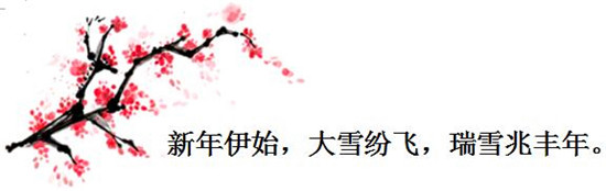 骏马压路机驶往海外-开启新年红